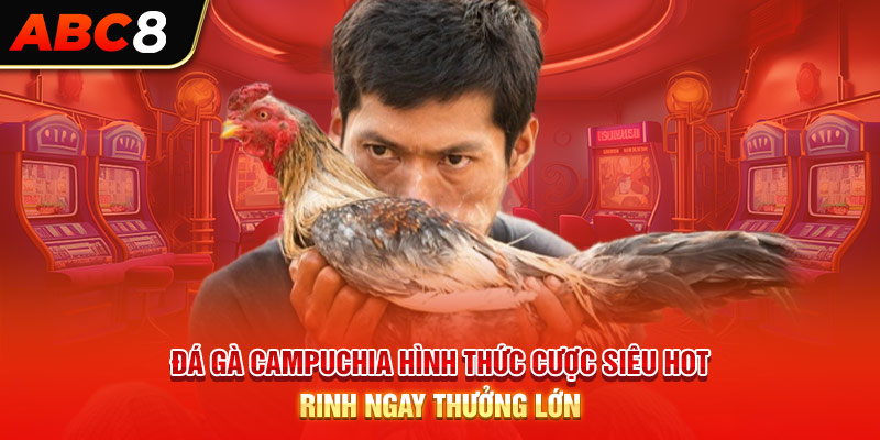 Đá Gà Campuchia: Hình Thức Cược Siêu Hot Rinh Ngay Thưởng Lớn