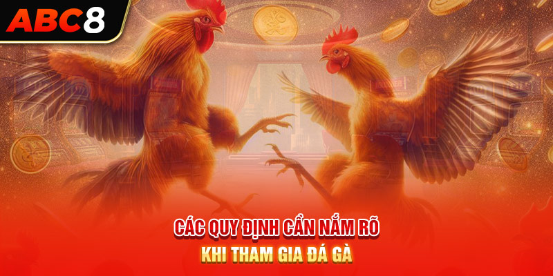 Các quy định cần nắm rõ khi tham gia đá gà